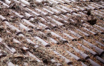 Anerley roof cleaning companies