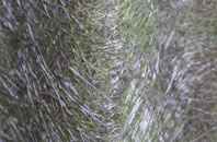 Anerley fibreglass roof work